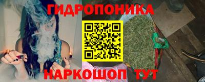 прущие грибы Кимры