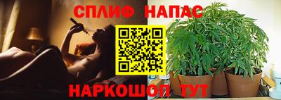 прущие грибы Кимры