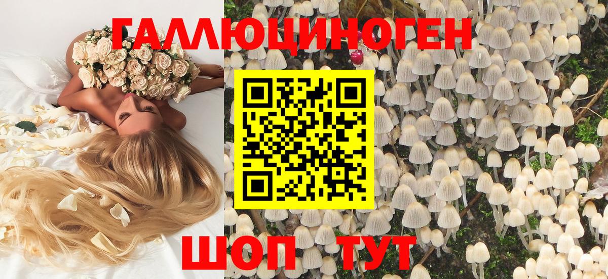 Галлюциногенные грибы Psilocybe Когалым