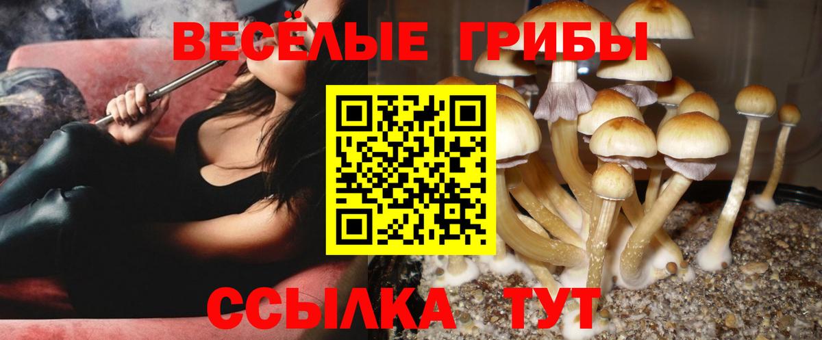 Псилоцибиновые грибы Psilocybe  Галлюциногенные грибы GOLDEN TEACHER  Когалым  Вход с VPN 